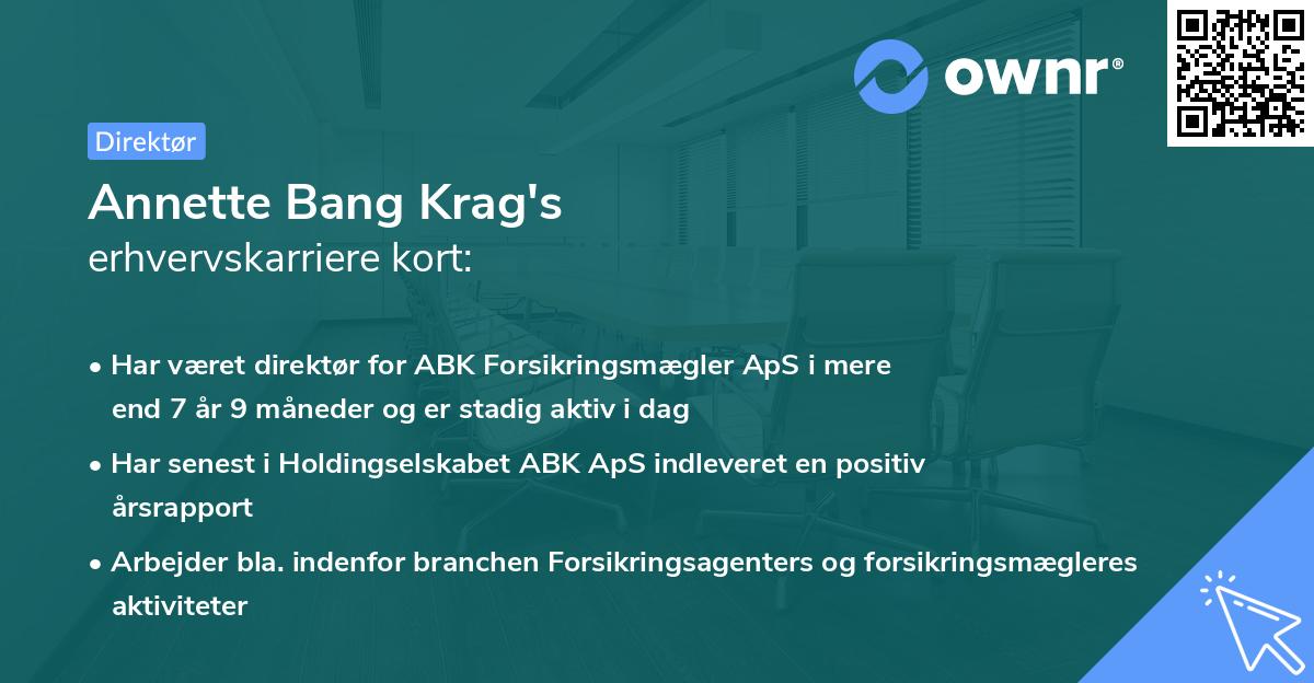 Annette Bang Krag's erhvervskarriere kort