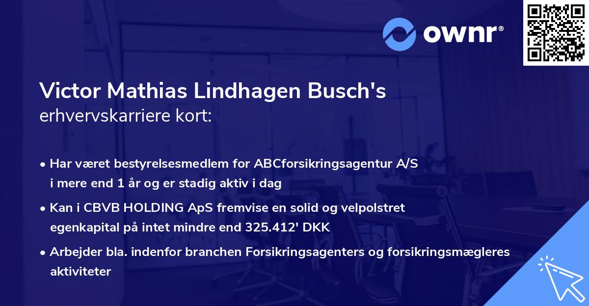 Victor Mathias Lindhagen Busch's erhvervskarriere kort