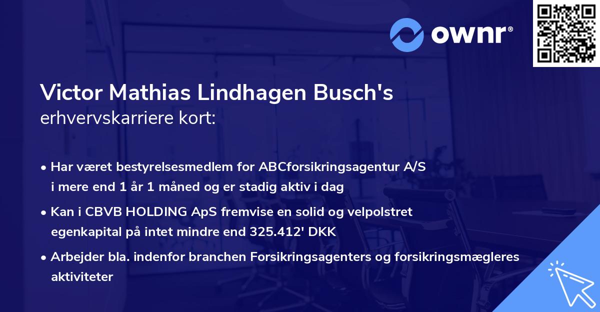Victor Mathias Lindhagen Busch's erhvervskarriere kort