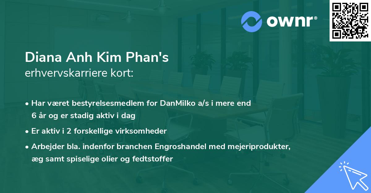 Diana Anh Kim Phan's erhvervskarriere kort