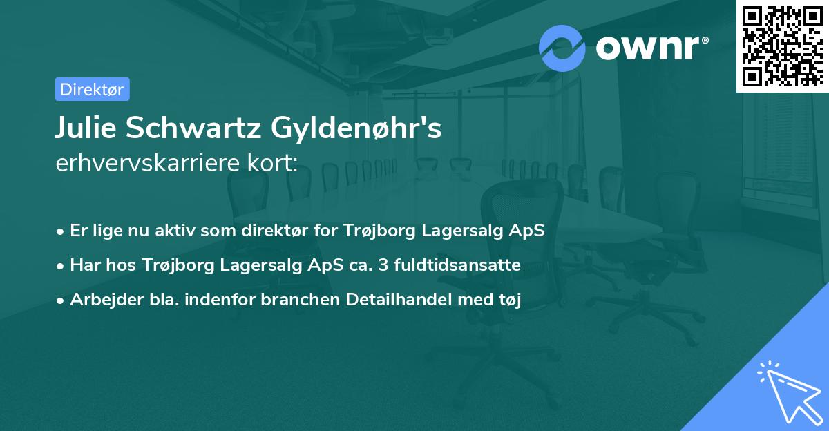 Julie Schwartz Gyldenøhr's erhvervskarriere kort