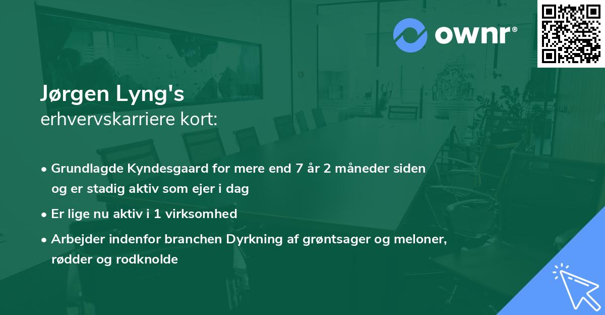 Jørgen Lyng's erhvervskarriere kort