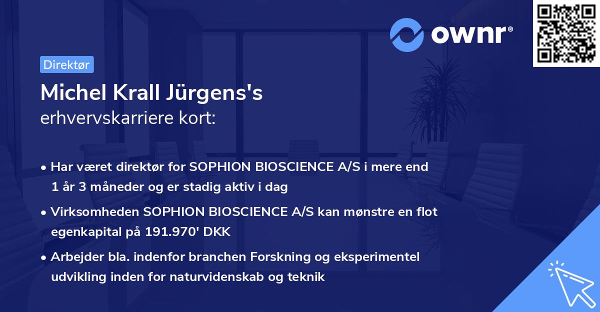 Michel Krall Jürgens's erhvervskarriere kort