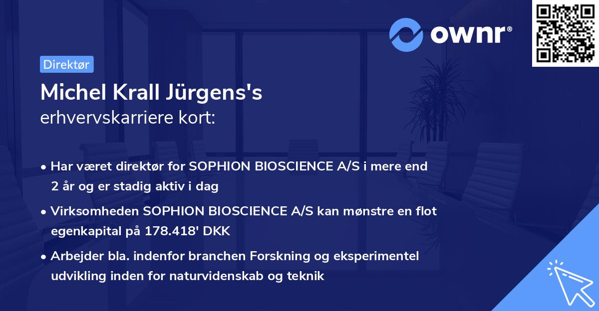 Michel Krall Jürgens's erhvervskarriere kort