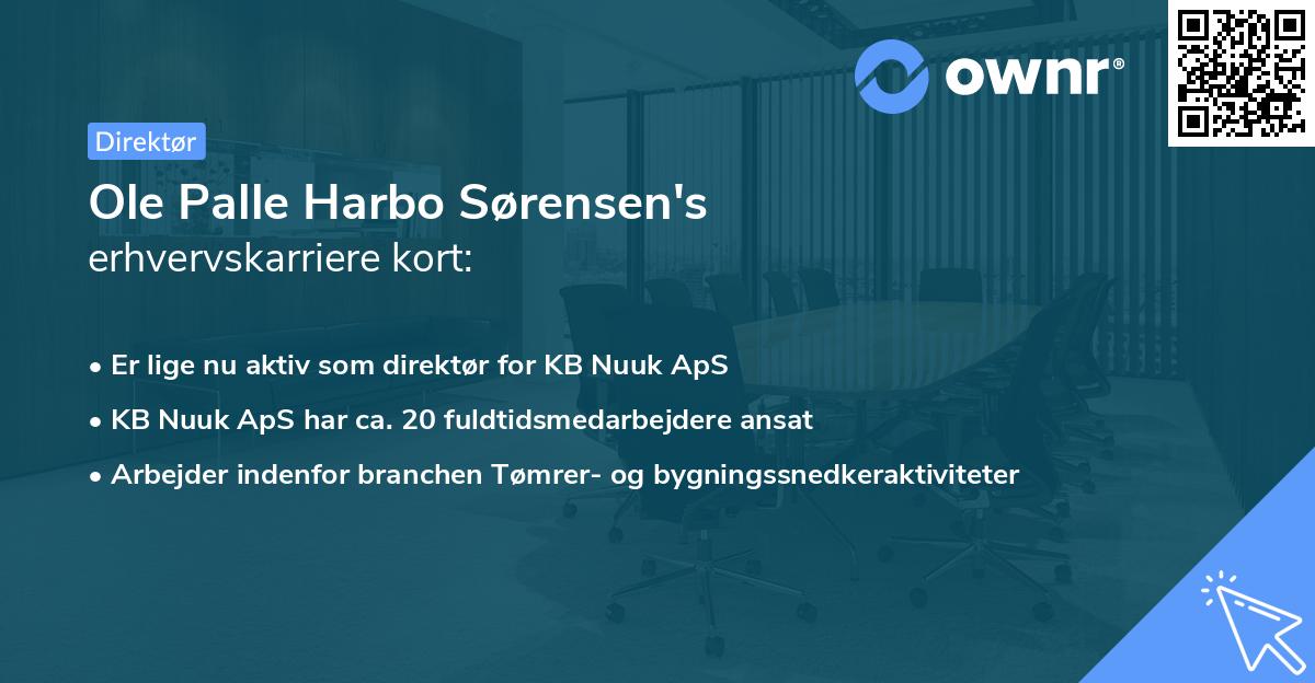 Ole Palle Harbo Sørensen's erhvervskarriere kort