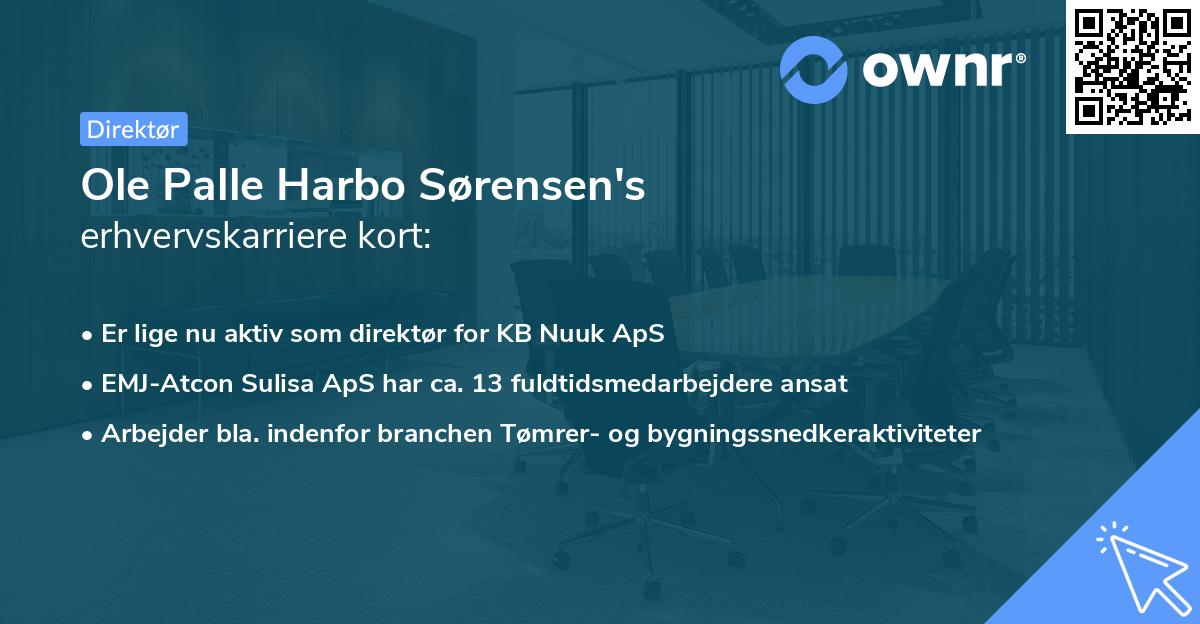 Ole Palle Harbo Sørensen's erhvervskarriere kort