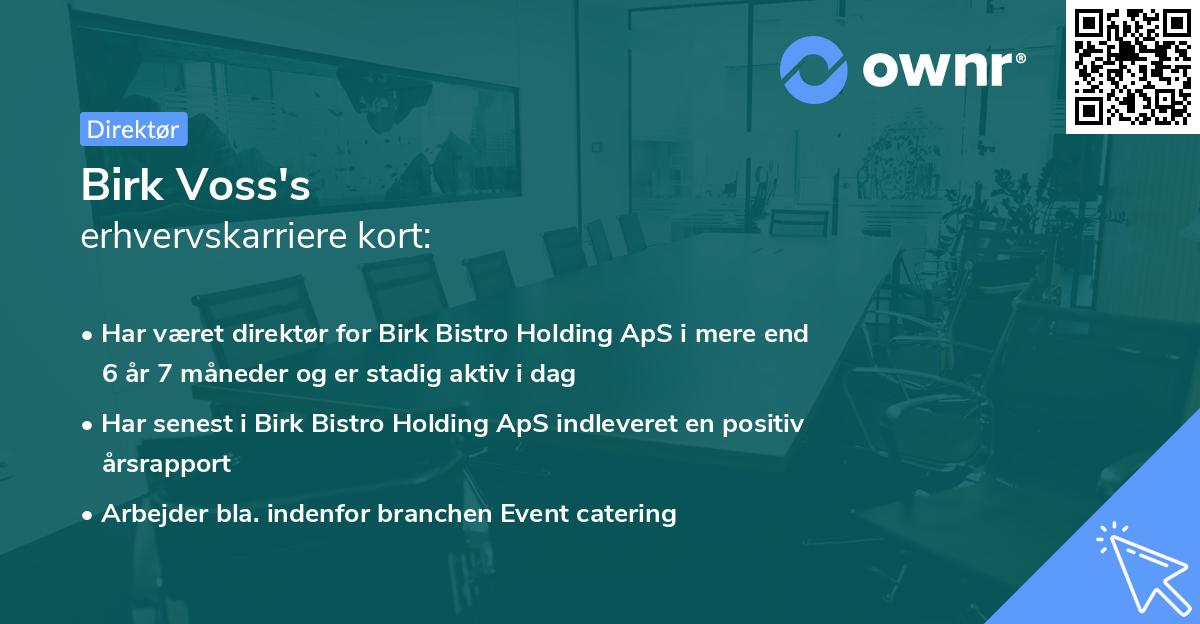 Birk Voss's erhvervskarriere kort