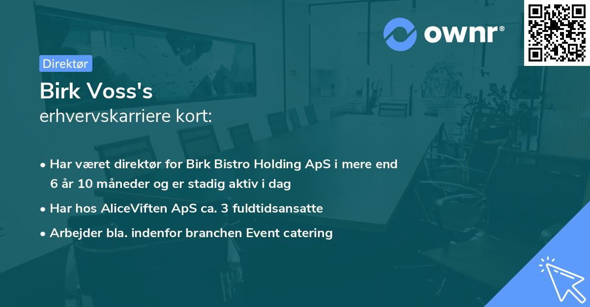 Birk Voss's erhvervskarriere kort