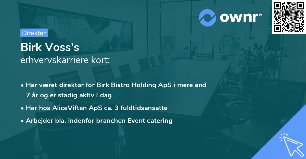 Birk Voss's erhvervskarriere kort