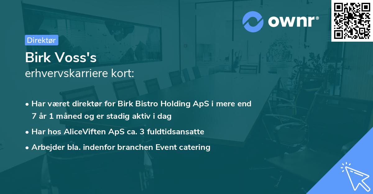 Birk Voss's erhvervskarriere kort