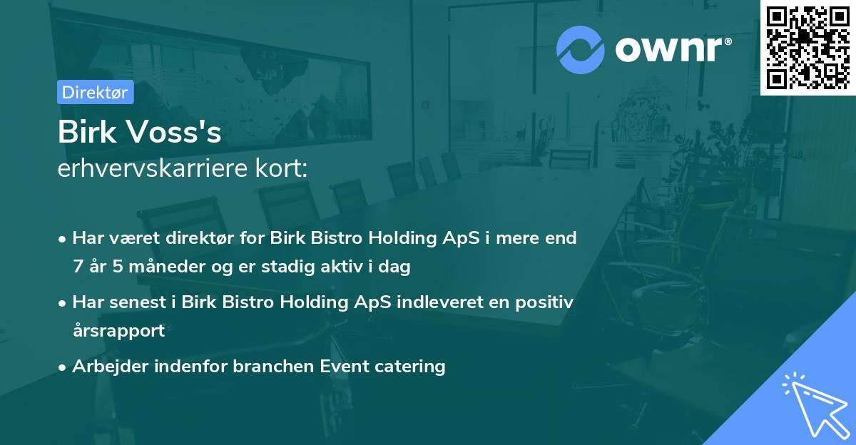 Birk Voss's erhvervskarriere kort