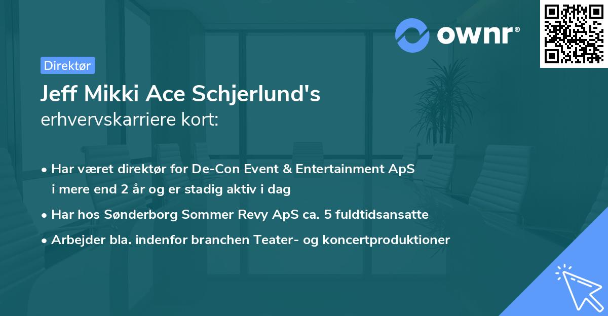 Jeff Mikki Ace Schjerlund's erhvervskarriere kort