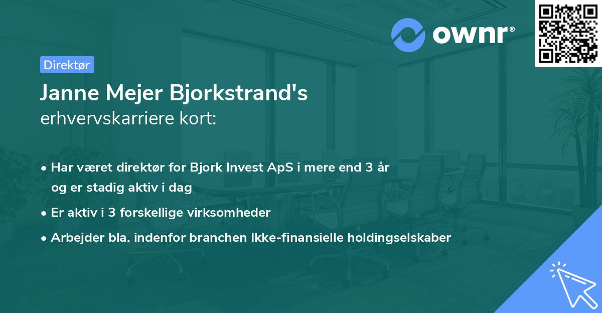 Janne Mejer Bjorkstrand's erhvervskarriere kort