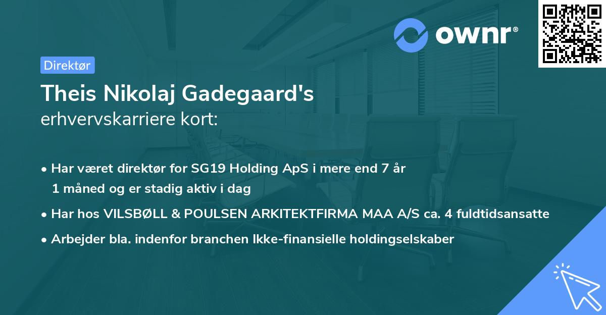 Theis Nikolaj Gadegaard's erhvervskarriere kort