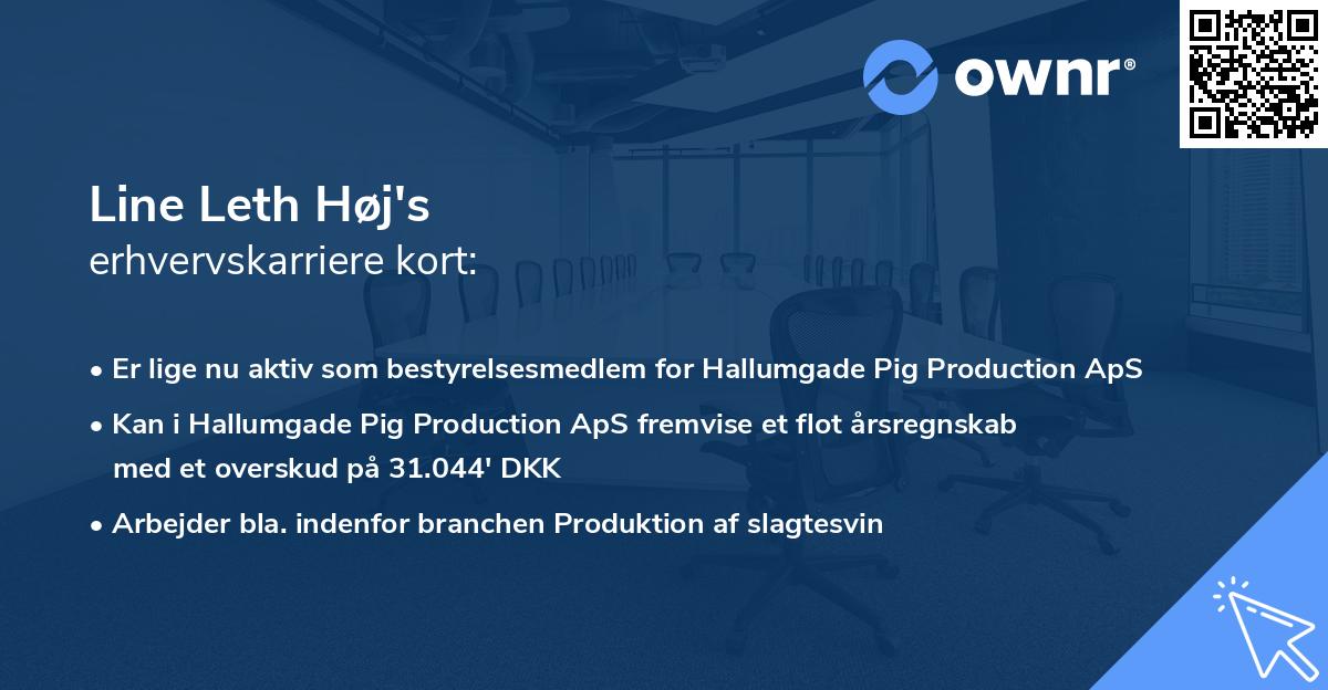 Line Leth Høj's erhvervskarriere kort