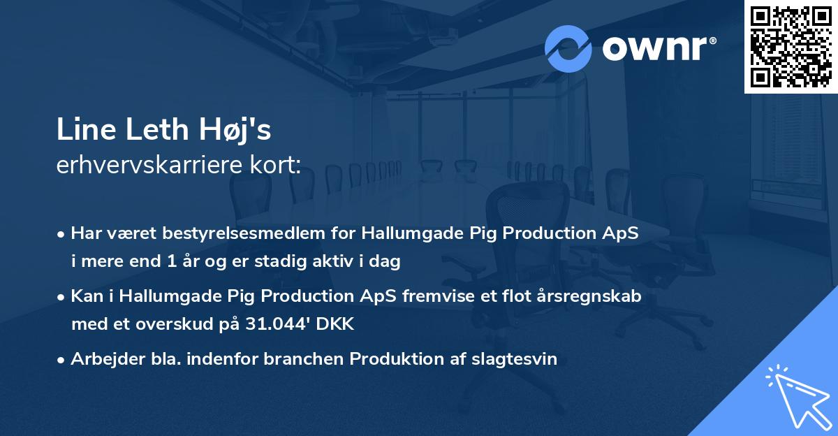 Line Leth Høj's erhvervskarriere kort