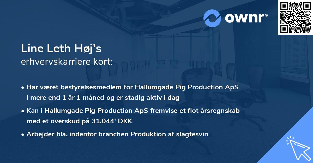 Line Leth Høj's erhvervskarriere kort
