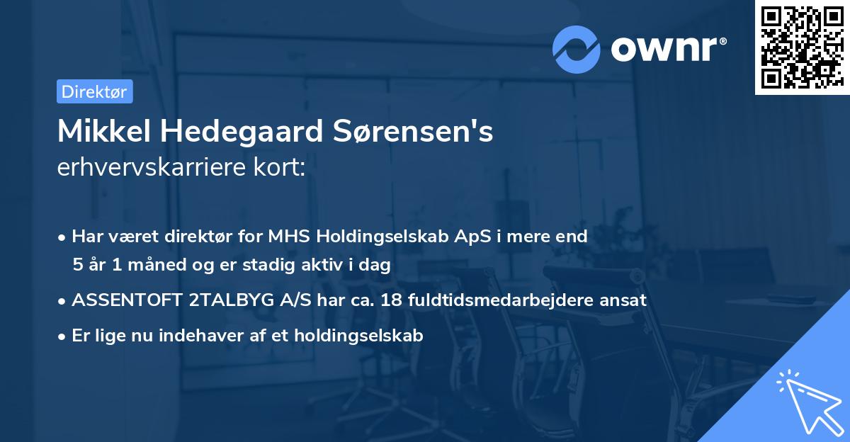 Mikkel Hedegaard Sørensen's erhvervskarriere kort