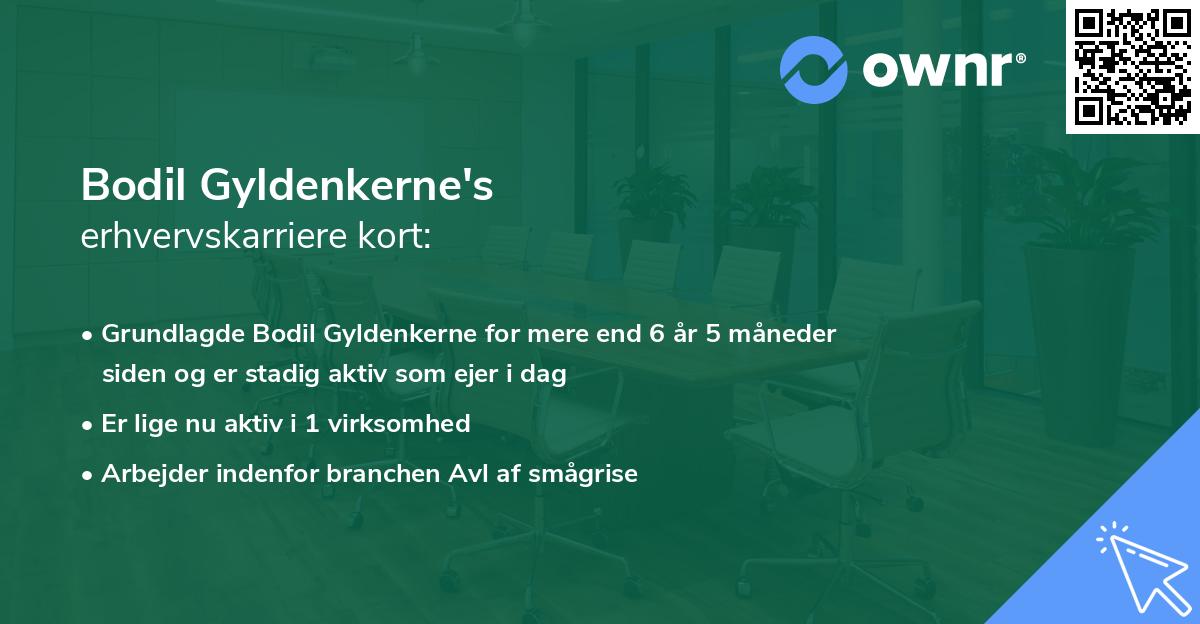 Bodil Gyldenkerne's erhvervskarriere kort