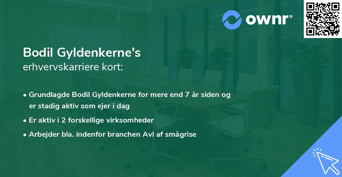 Bodil Gyldenkerne's erhvervskarriere kort