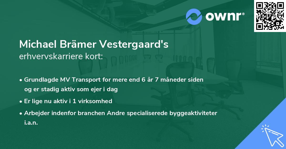 Michael Brämer Vestergaard's erhvervskarriere kort