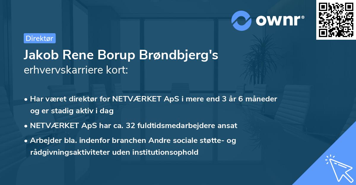 Jakob Rene Borup Brøndbjerg's erhvervskarriere kort
