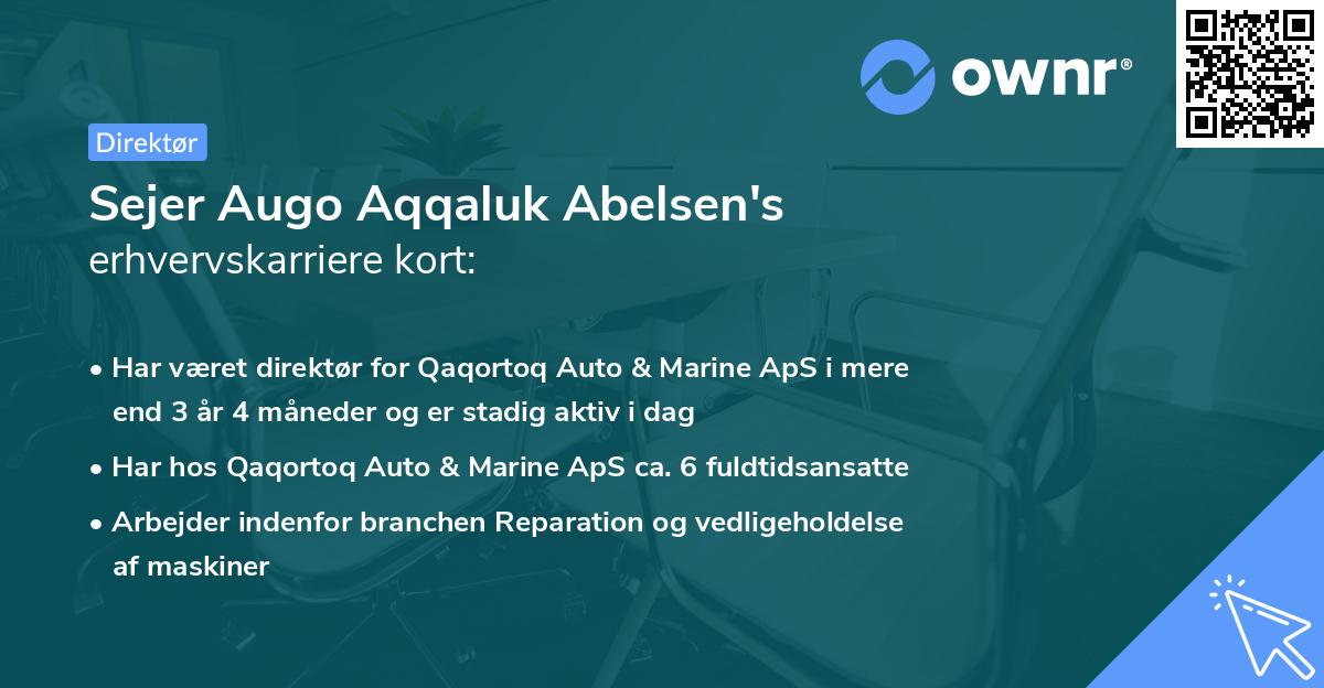 Sejer Augo Aqqaluk Abelsen's erhvervskarriere kort