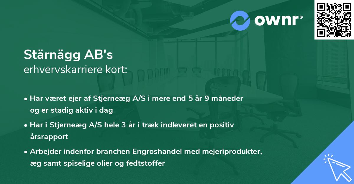 Stärnägg AB's erhvervskarriere kort