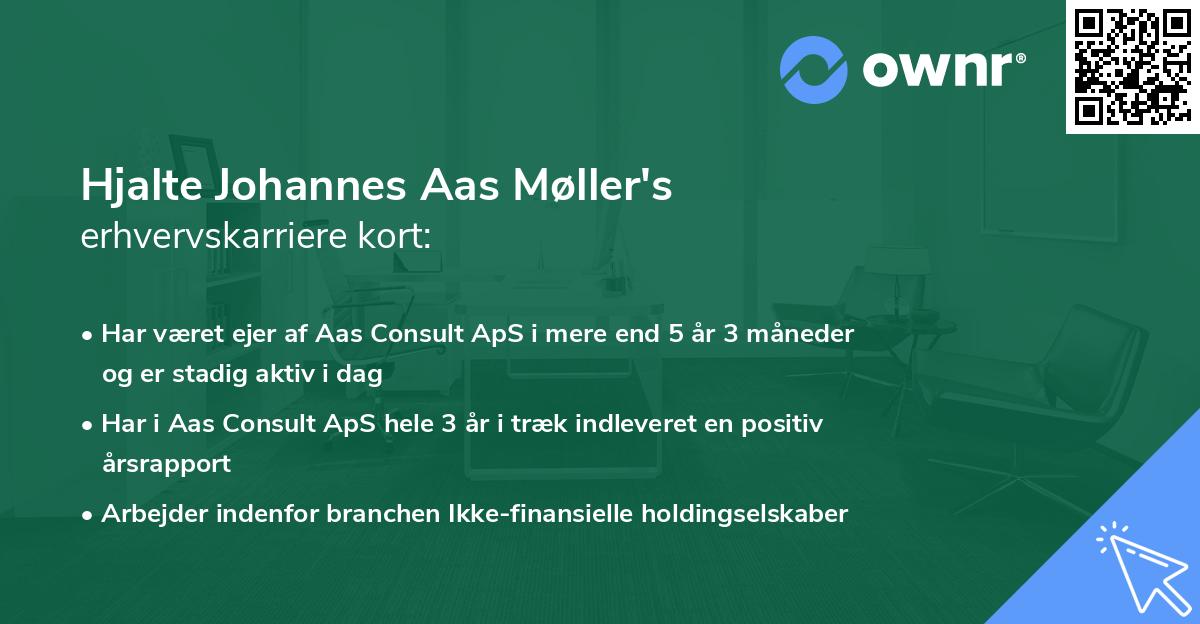 Hjalte Johannes Aas Møller's erhvervskarriere kort