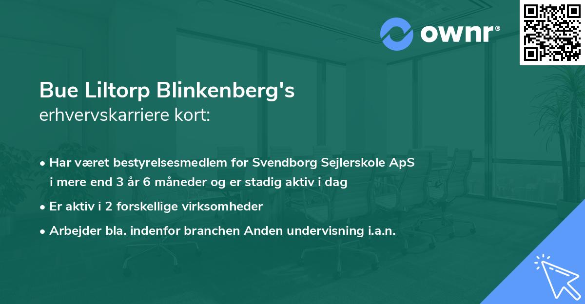 Bue Liltorp Blinkenberg's erhvervskarriere kort