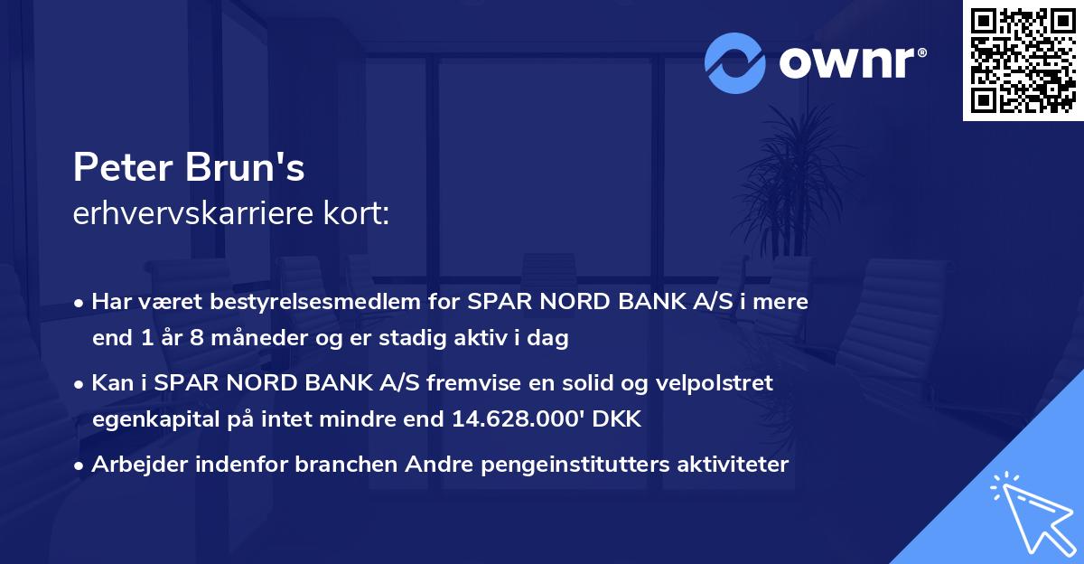 Peter Brun's erhvervskarriere kort