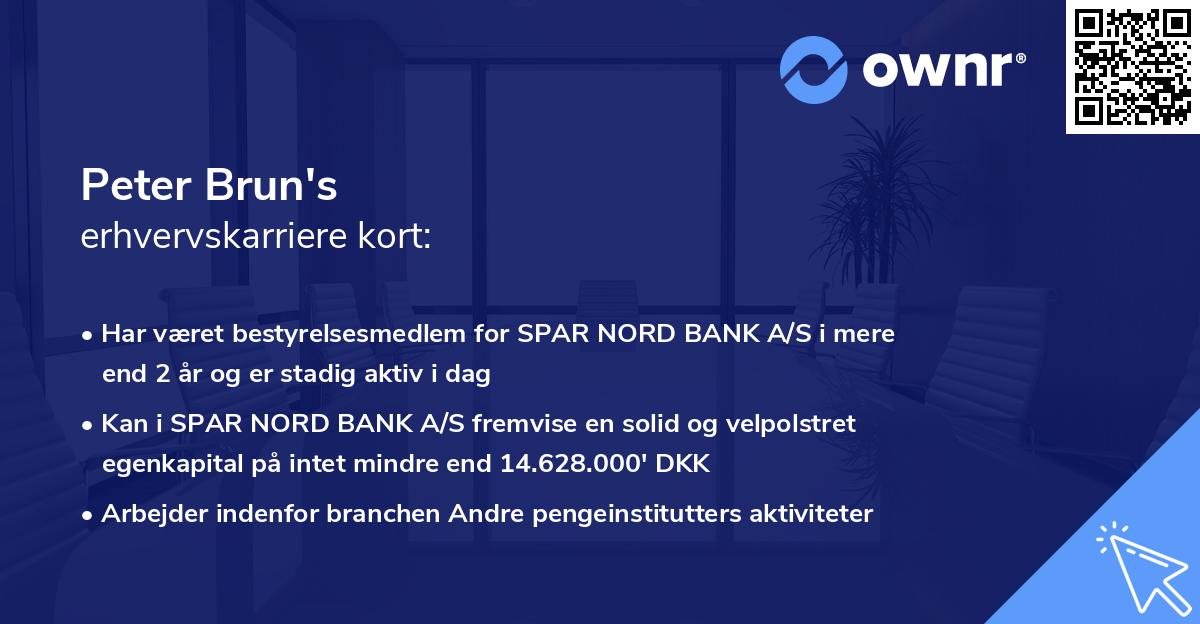 Peter Brun's erhvervskarriere kort