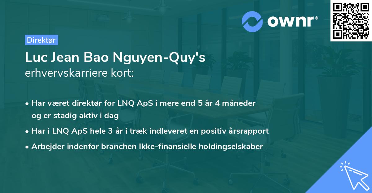 Luc Jean Bao Nguyen-Quy's erhvervskarriere kort