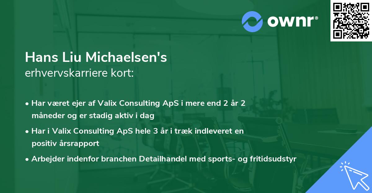 Hans Liu Michaelsen's erhvervskarriere kort