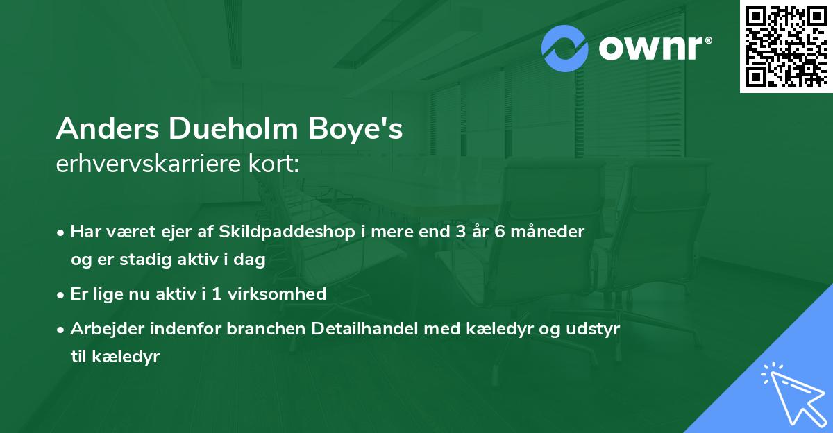 Anders Dueholm Boye's erhvervskarriere kort