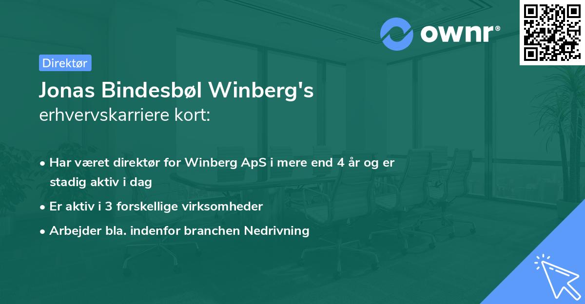 Jonas Bindesbøl Winberg's erhvervskarriere kort