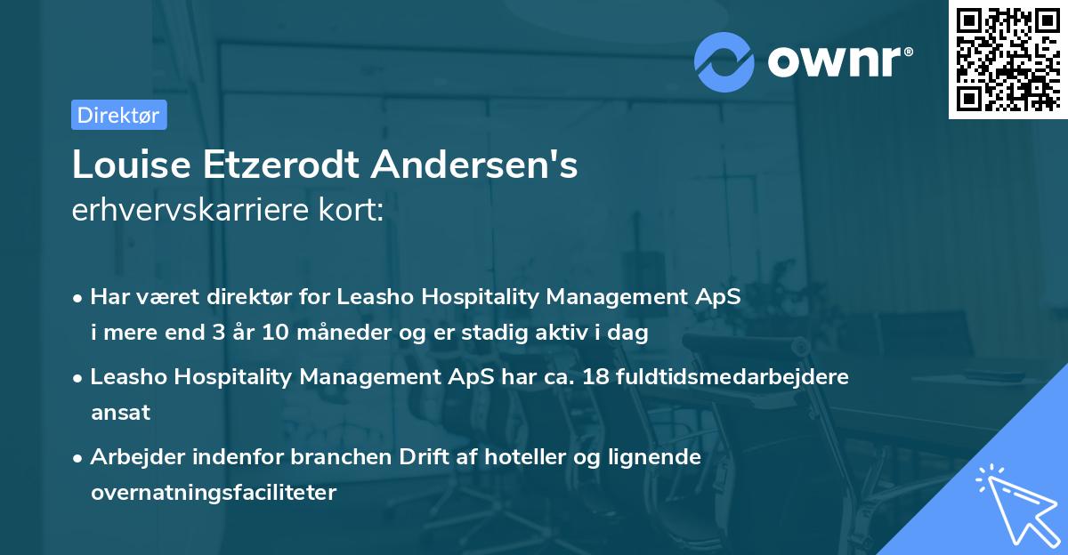 Louise Etzerodt Andersen's erhvervskarriere kort