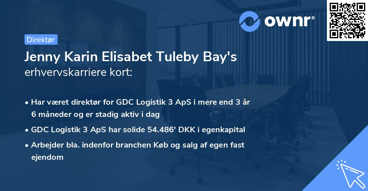 Jenny Karin Elisabet Tuleby Bay's erhvervskarriere kort