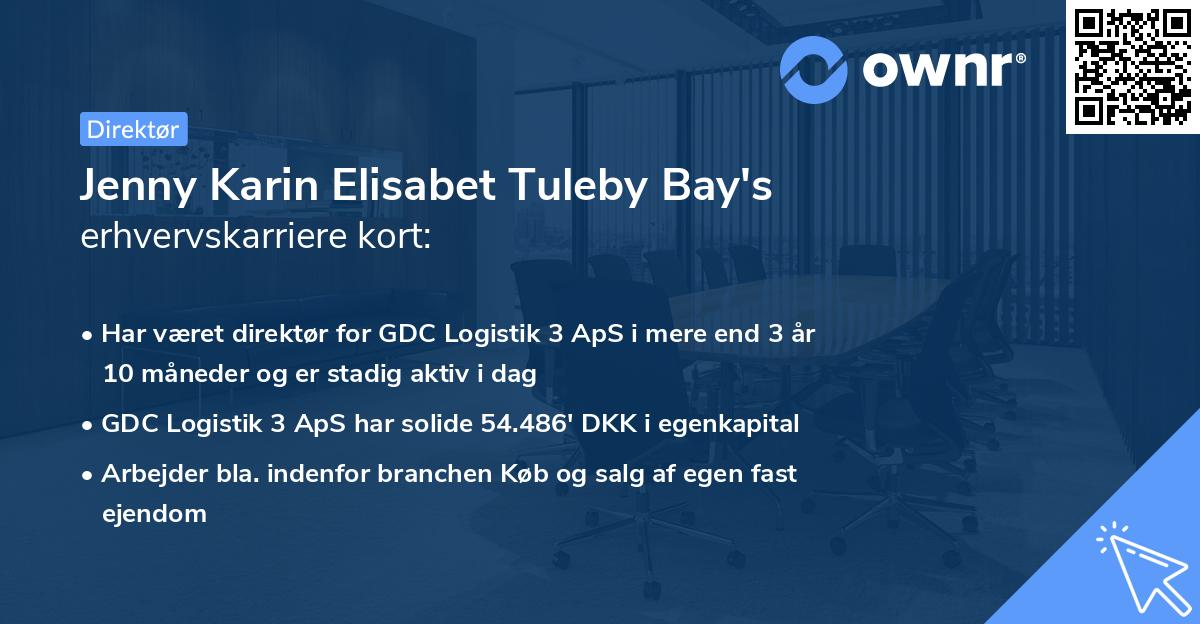 Jenny Karin Elisabet Tuleby Bay's erhvervskarriere kort
