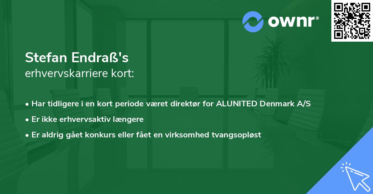 Stefan Endraß's erhvervskarriere kort