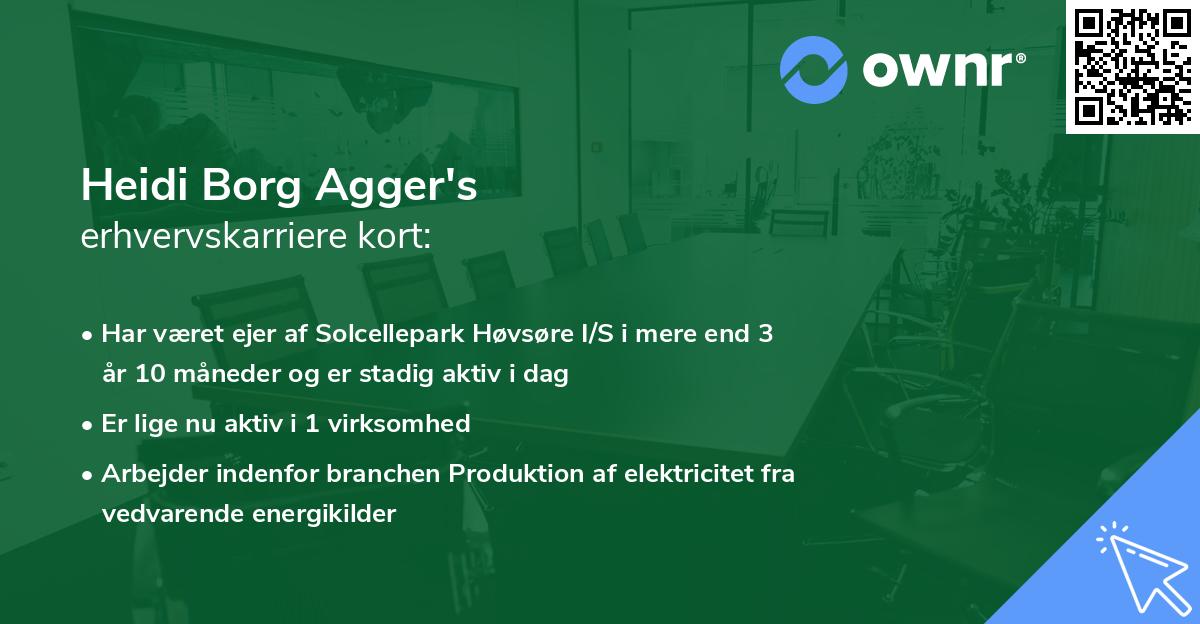 Heidi Borg Agger's erhvervskarriere kort