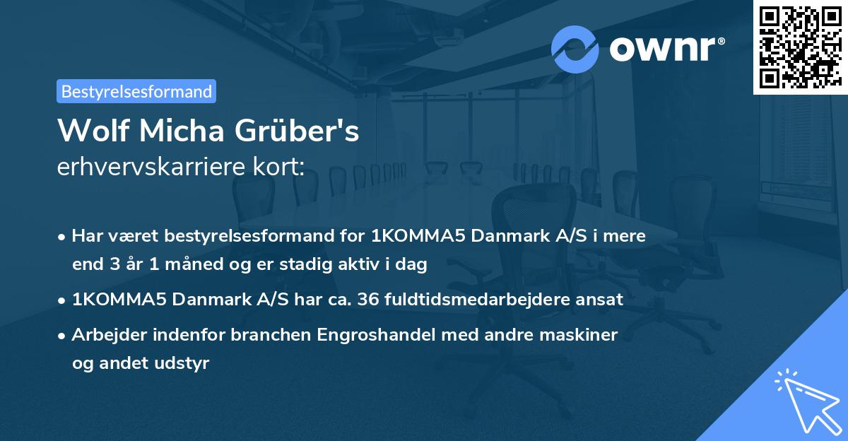 Wolf Micha Grüber's erhvervskarriere kort