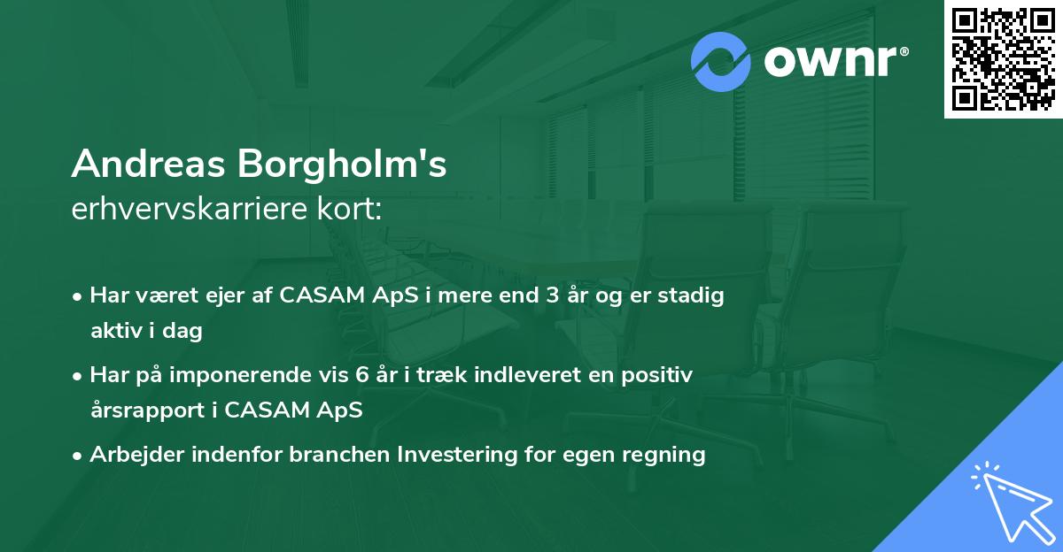 Andreas Borgholm's erhvervskarriere kort