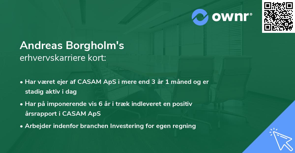 Andreas Borgholm's erhvervskarriere kort