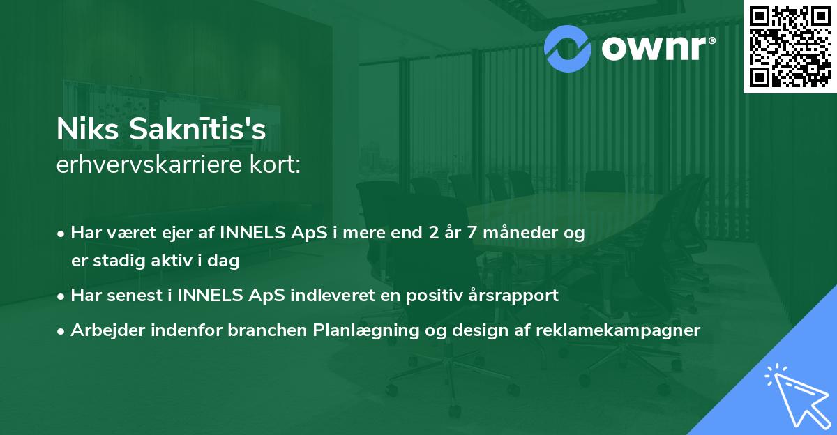 Niks Saknītis's erhvervskarriere kort