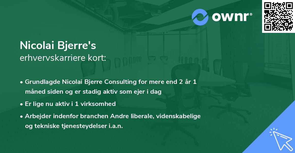 Nicolai Bjerre's erhvervskarriere kort
