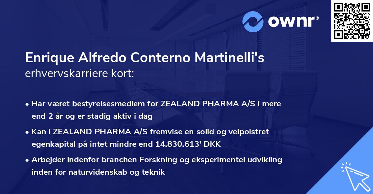 Enrique Alfredo Conterno Martinelli's erhvervskarriere kort