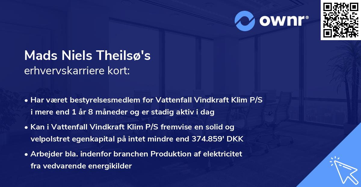 Mads Niels Theilsø's erhvervskarriere kort