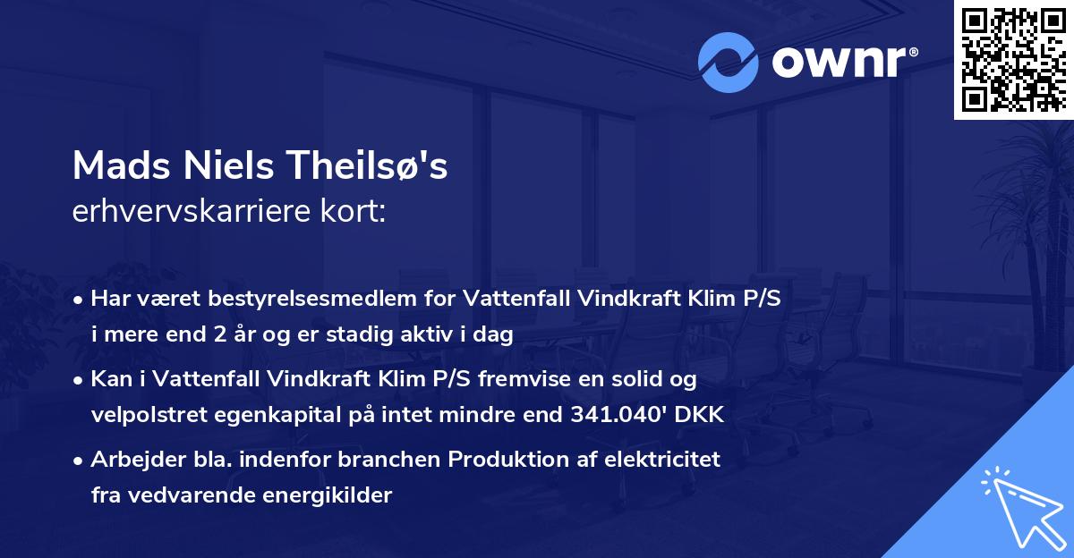 Mads Niels Theilsø's erhvervskarriere kort