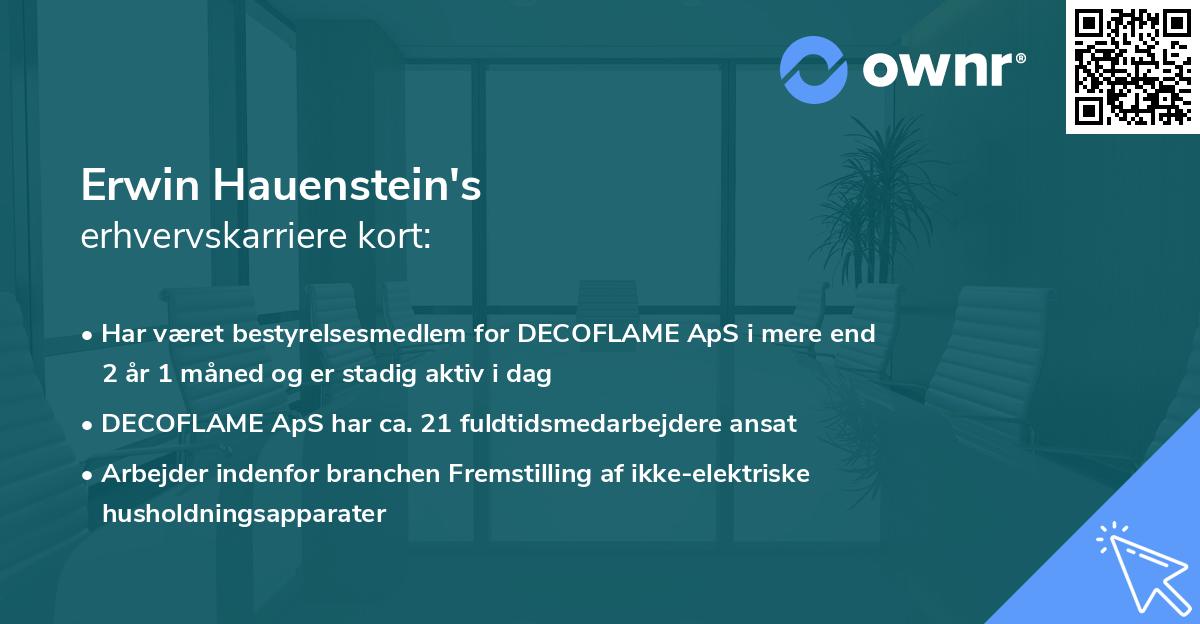 Erwin Hauenstein's erhvervskarriere kort